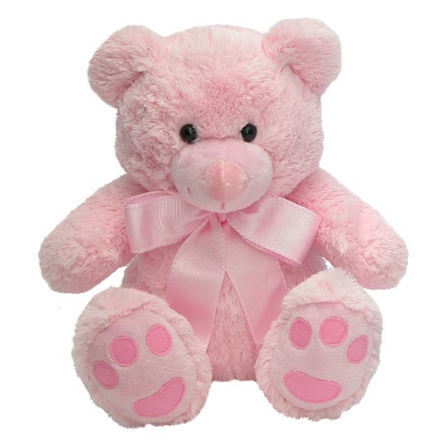 Soft Pink and Blue Teddy Bear 